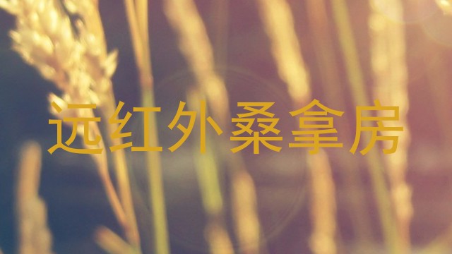 远红外桑拿房