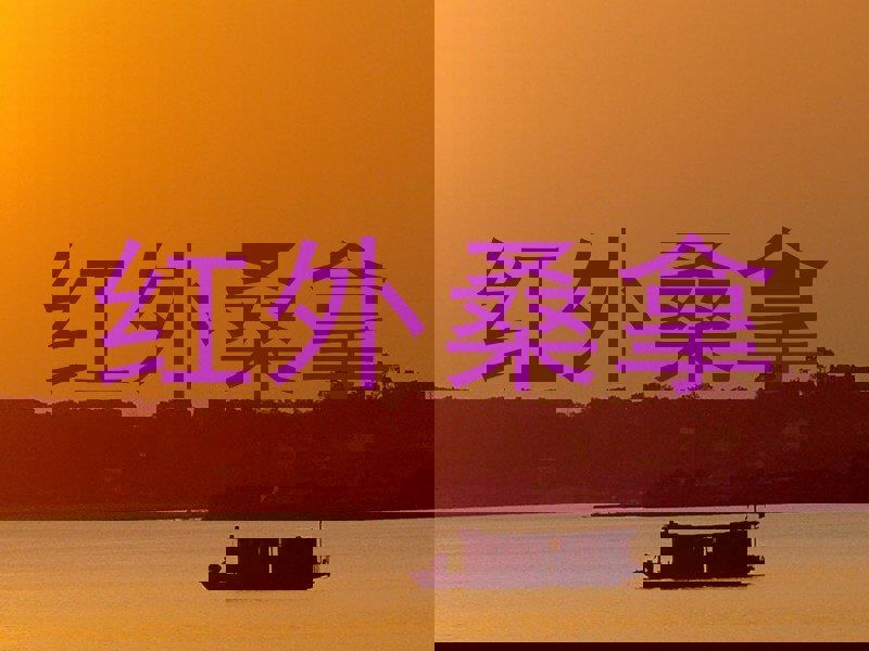 红外桑拿