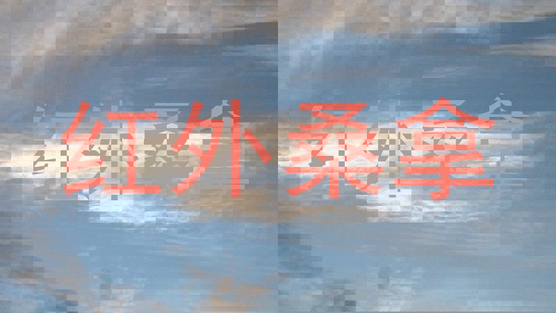 红外桑拿