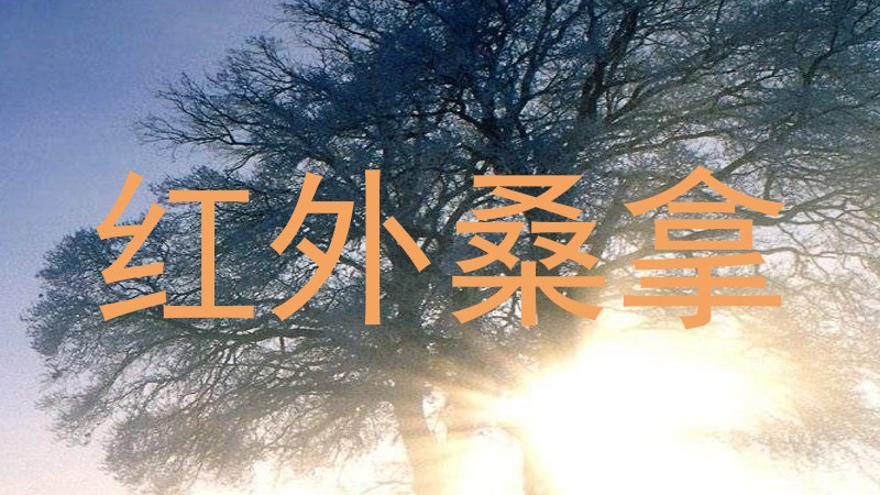 红外桑拿