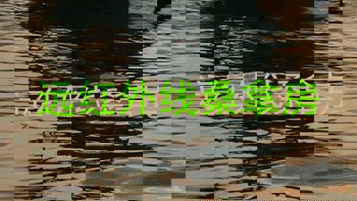 远红外线桑拿房