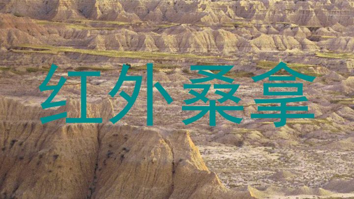 红外桑拿