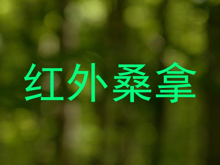 红外桑拿