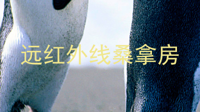 远红外线桑拿房