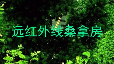 远红外线桑拿房