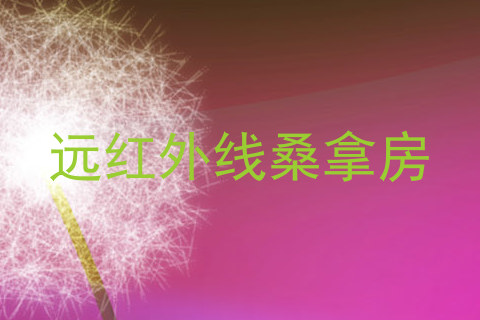 远红外线桑拿房