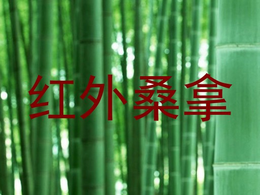 红外桑拿