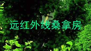 远红外线桑拿房