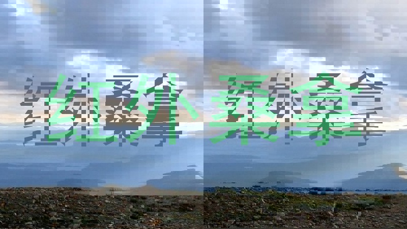 红外桑拿