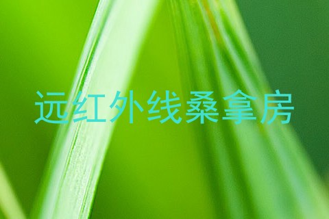 远红外线桑拿房