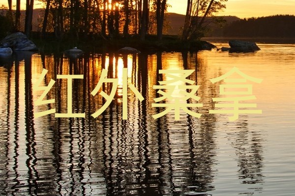 红外桑拿