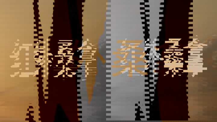 红外桑拿