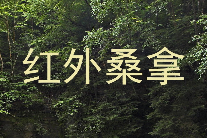 红外桑拿