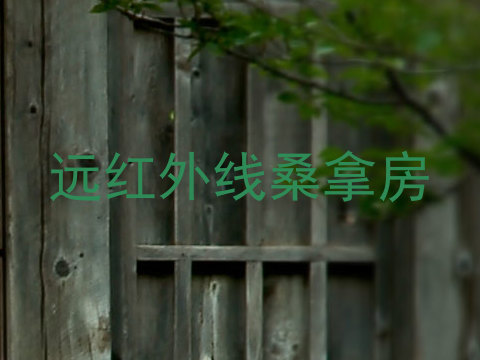 远红外线桑拿房