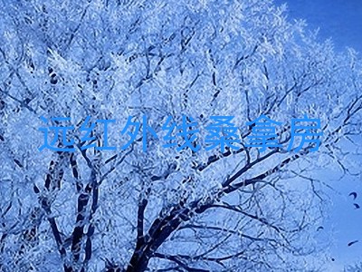 远红外线桑拿房
