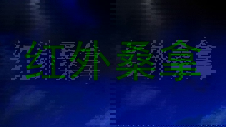 红外桑拿