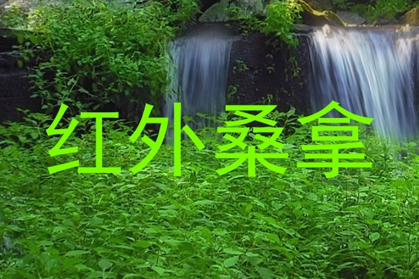 红外桑拿