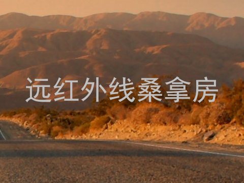 远红外线桑拿房