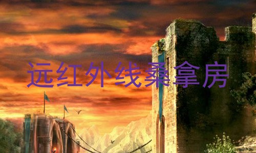 远红外线桑拿房