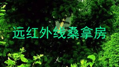 远红外线桑拿房