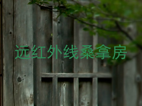 远红外线桑拿房