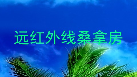远红外线桑拿房