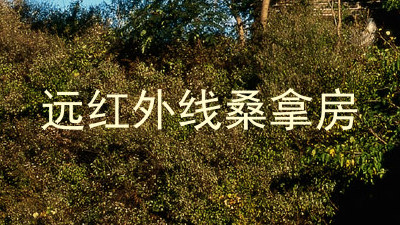 远红外线桑拿房