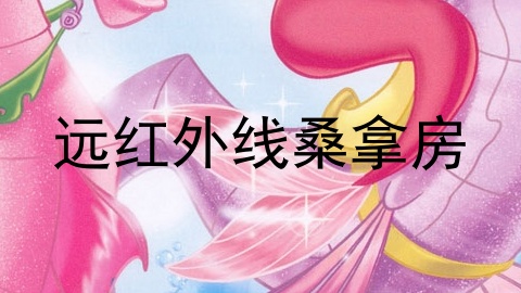 远红外线桑拿房