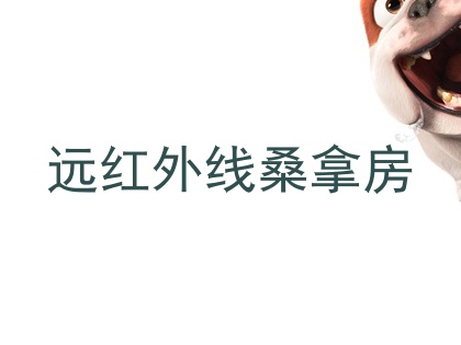 远红外线桑拿房