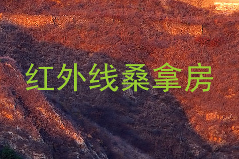 红外线桑拿房