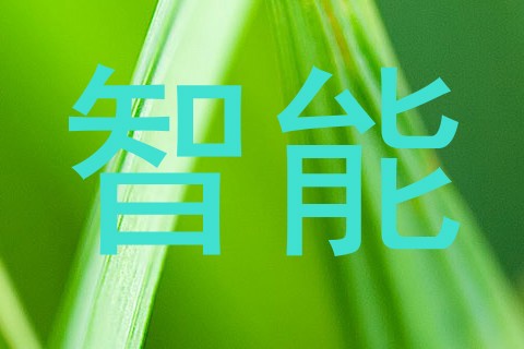 智能