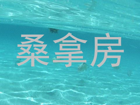 桑拿房