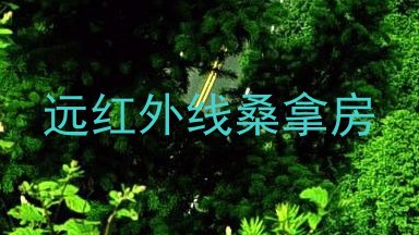 远红外线桑拿房