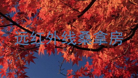 远红外线桑拿房