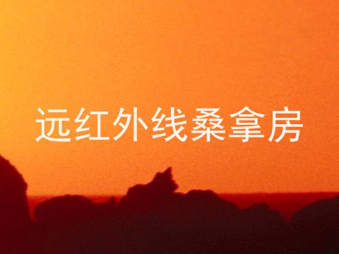 远红外线桑拿房