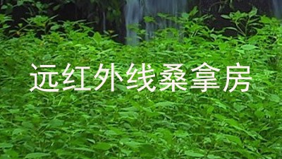 远红外线桑拿房