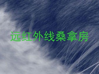 远红外线桑拿房