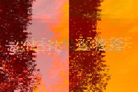 远红外线桑拿房