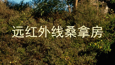 远红外线桑拿房