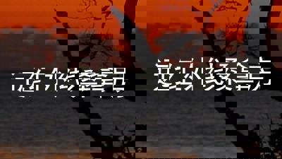 远红外线桑拿房