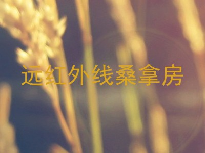 远红外线桑拿房