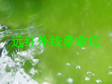 远红外线桑拿房