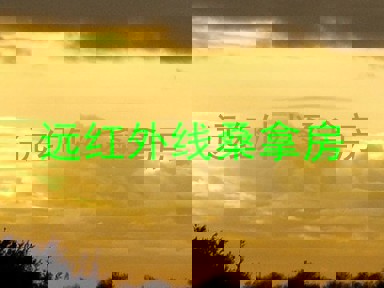 远红外线桑拿房