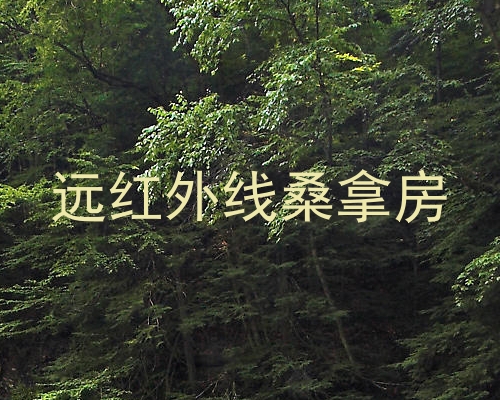 远红外线桑拿房