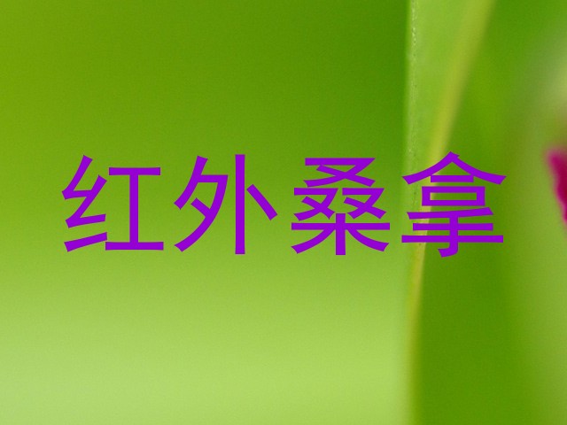 红外桑拿