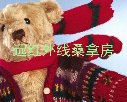 远红外线桑拿房