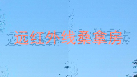 远红外线桑拿房