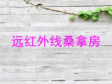 远红外线桑拿房