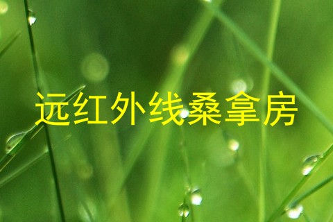 远红外线桑拿房