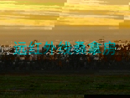 远红外线桑拿房